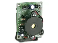 MK104 Electronic cricket